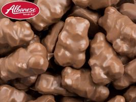 Albanese Chocolate Covered Gummy Bears 1lb
